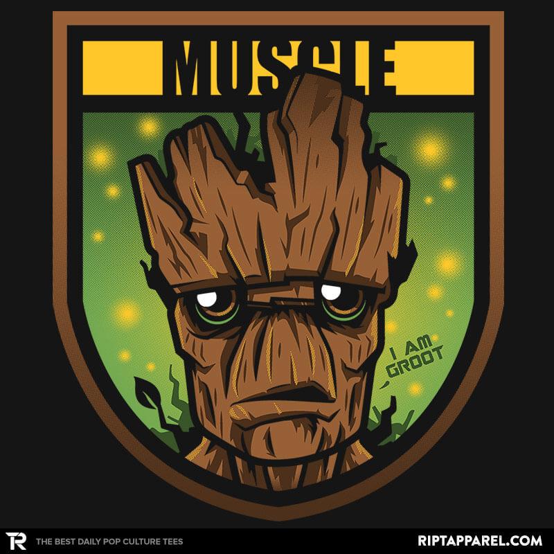 Muscle Exclusive