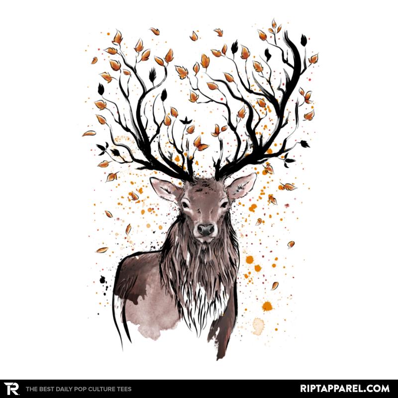 Autumn Feelings