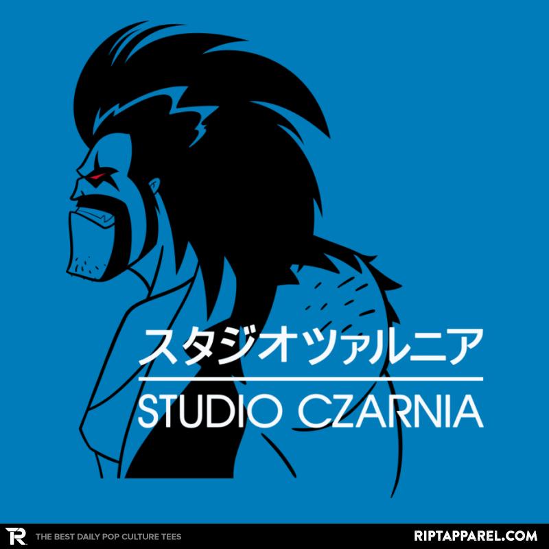 Studio Czarnia