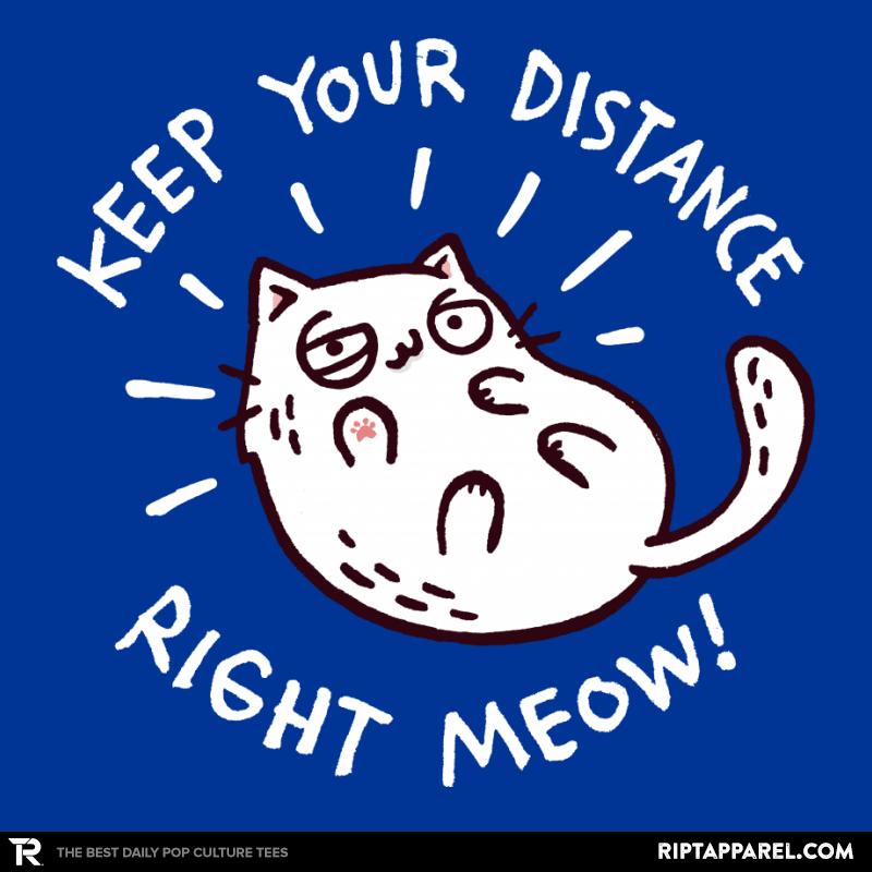 Keep Your Distance Right Meow