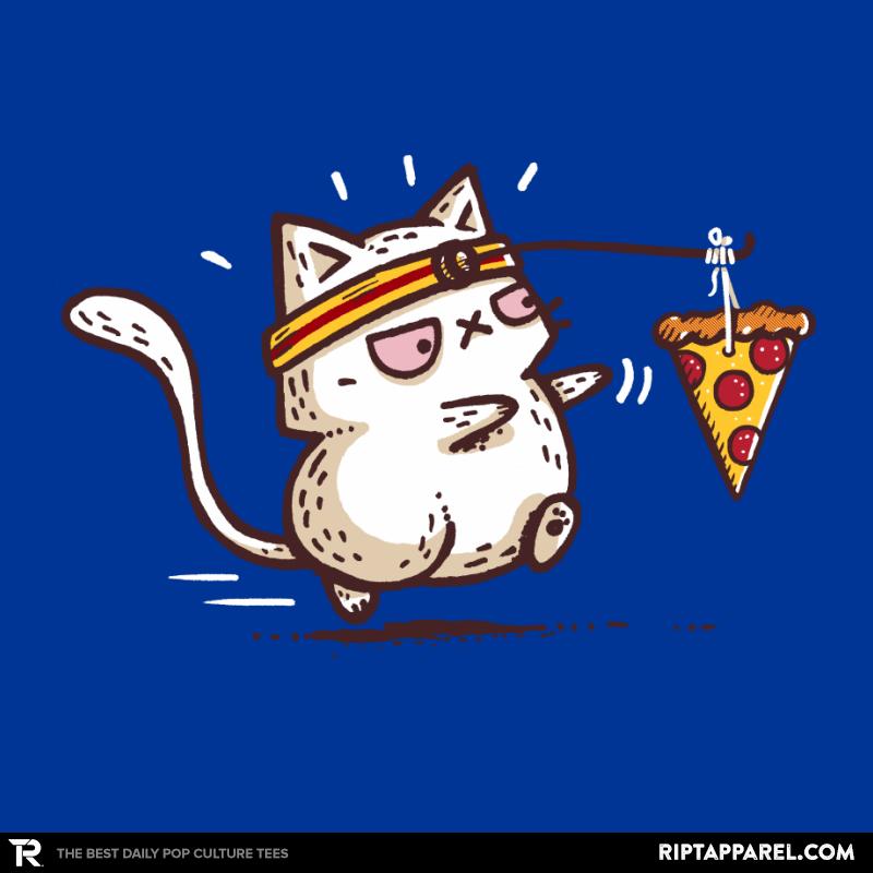 Self Meowtivation