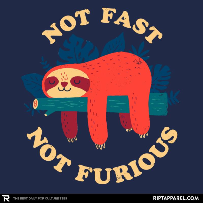Not Fast Not Furious