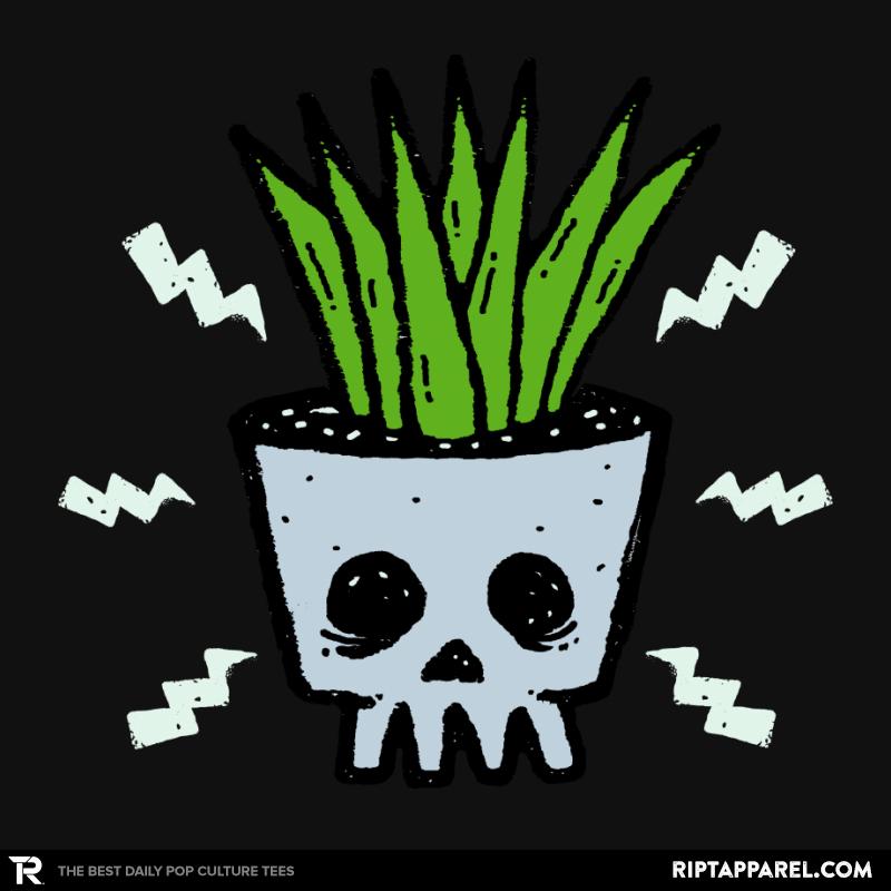Punk by Nature