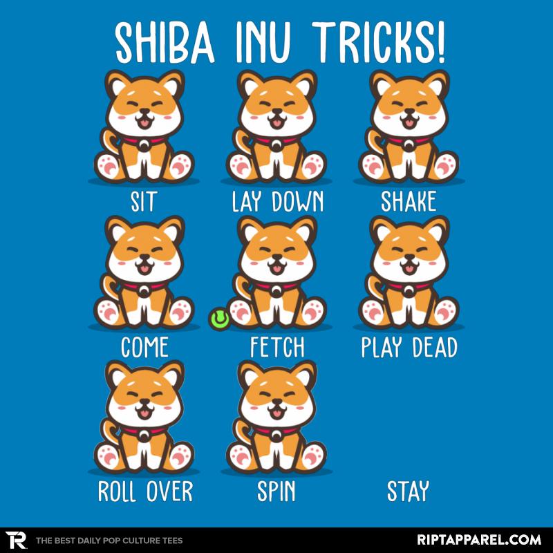 Shiba Inu Tricks