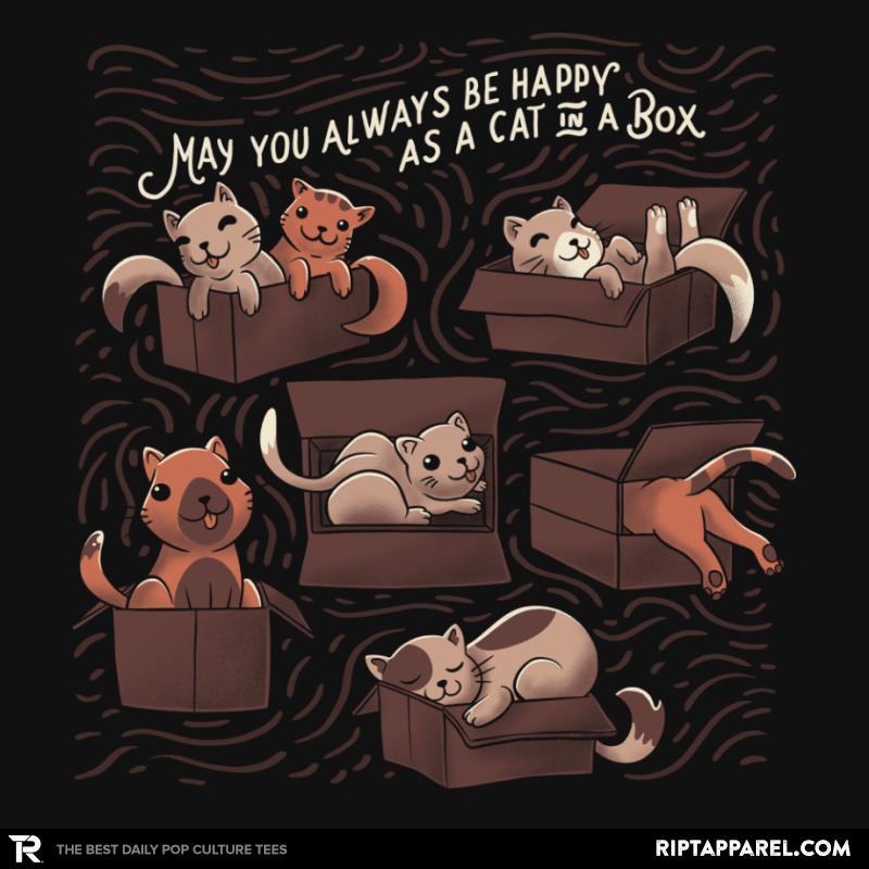 Cats in a Box