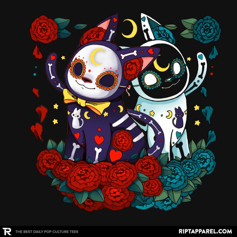 Sweet Moon Cats