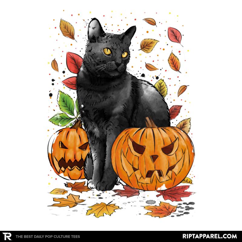 Cat Leaves and Pumpkins