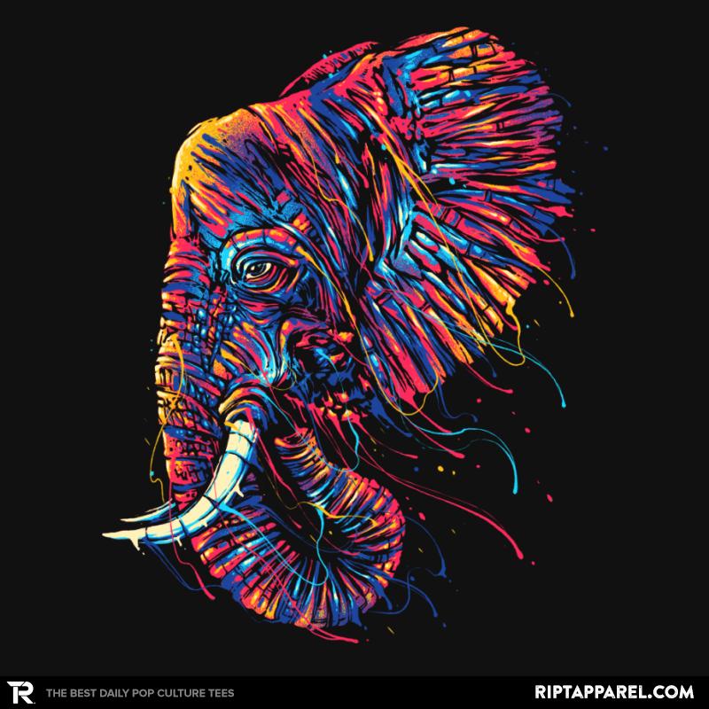 Colorful Elephant