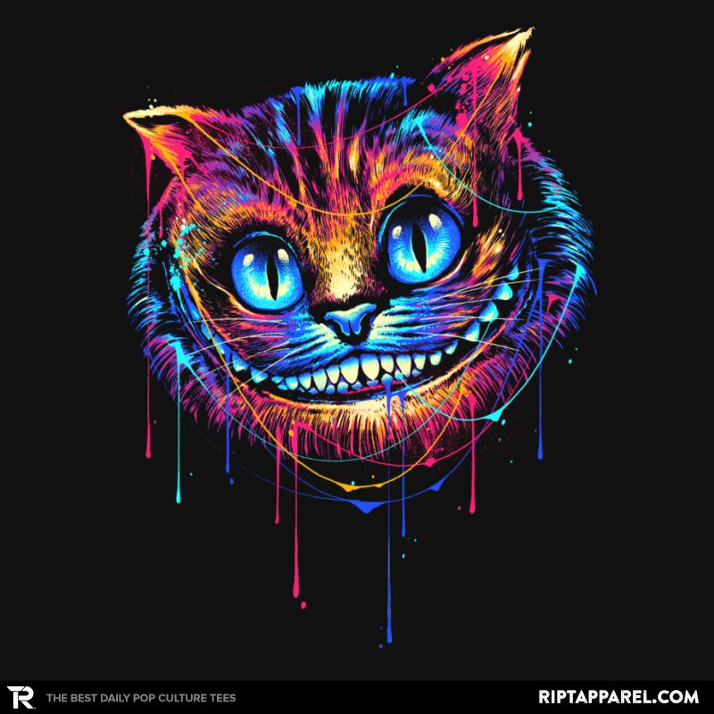 Colorful Cat