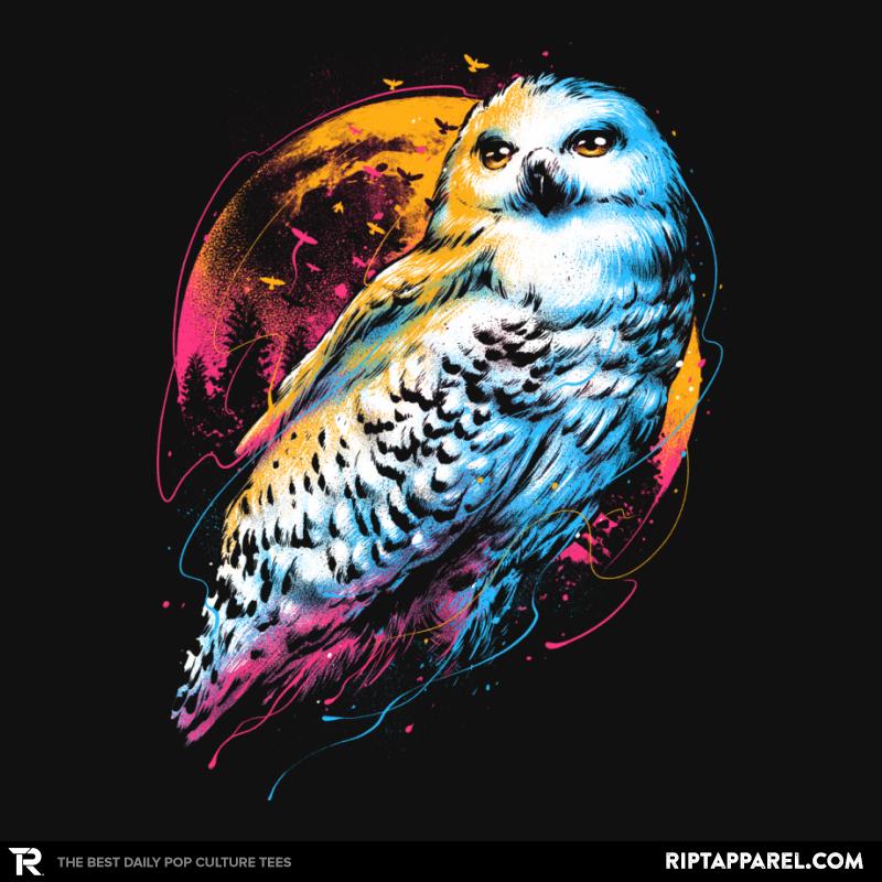 Colorful Owl