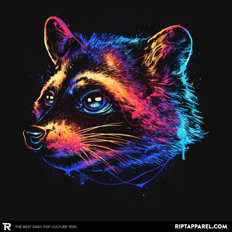 Colorful Raccoon