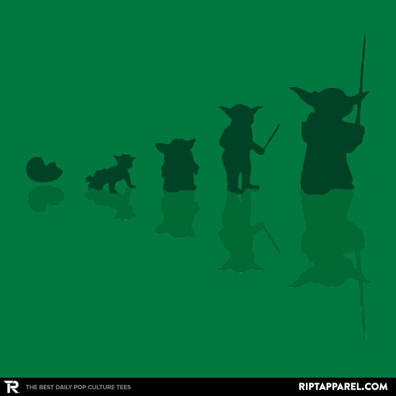 Y Evolution