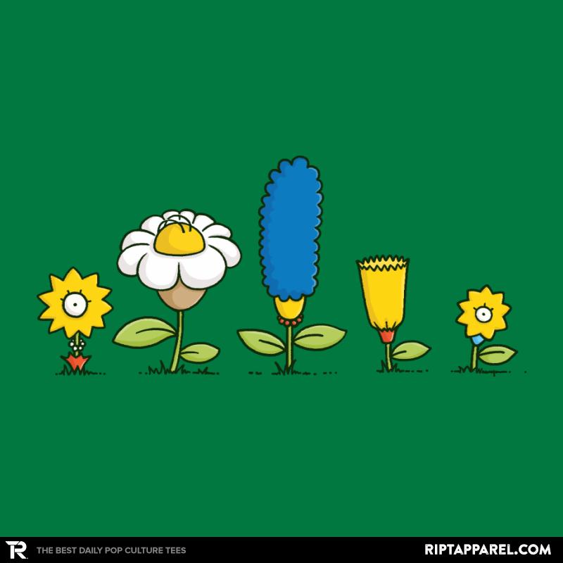 Spring Field