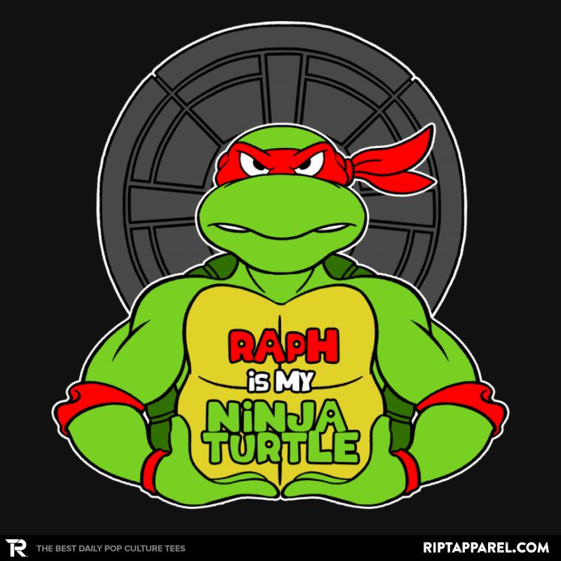 Raph is my Turtle (My Red Ninja Turtle)