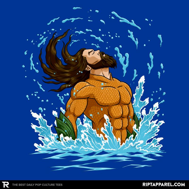 Aqua Flip