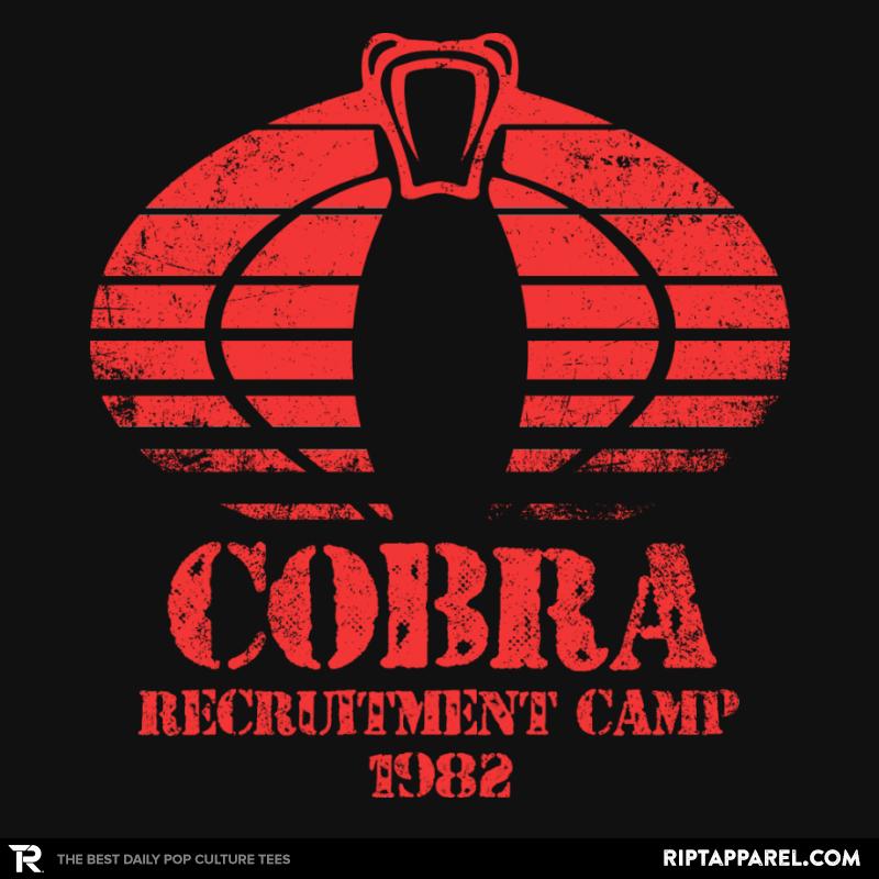 Cobra Camp