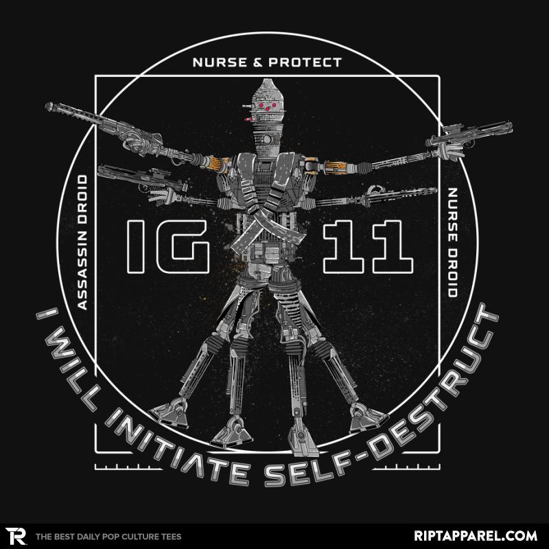 Self Destruct