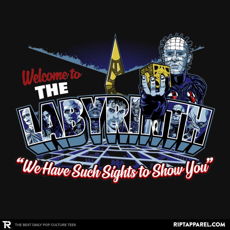 Welcome to The Labyrinth