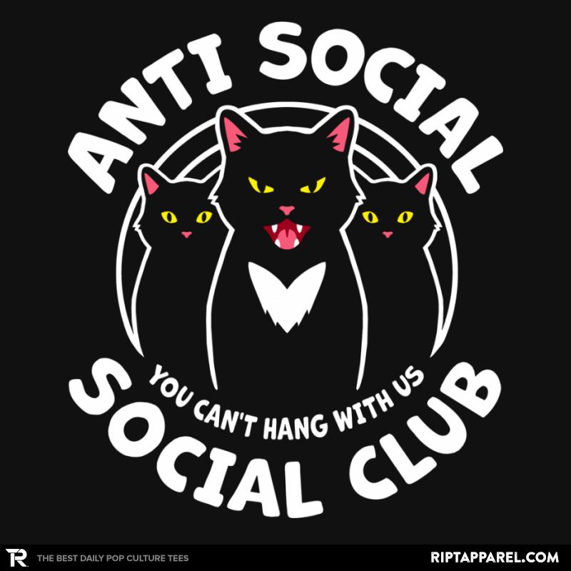 Cool Cats