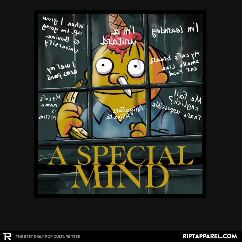 A Special Mind