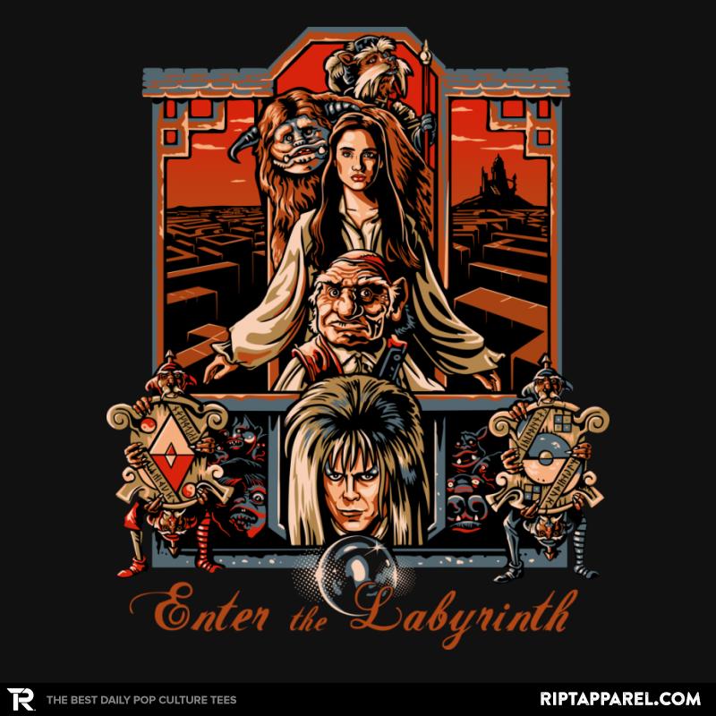 Enter the Labyrinth