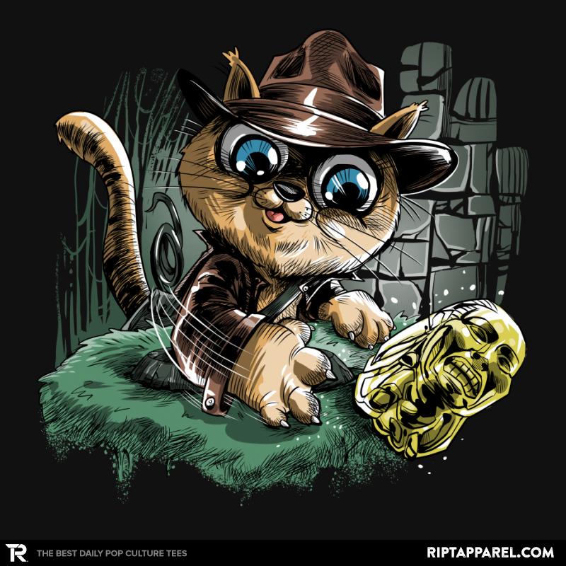 Indiana Cat