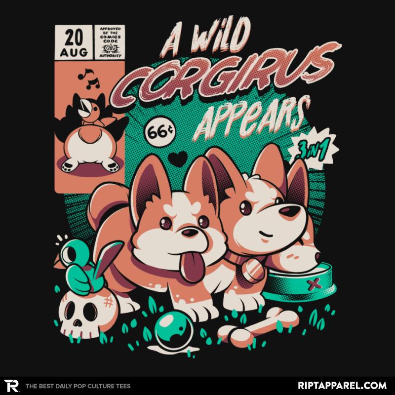 Corgirus