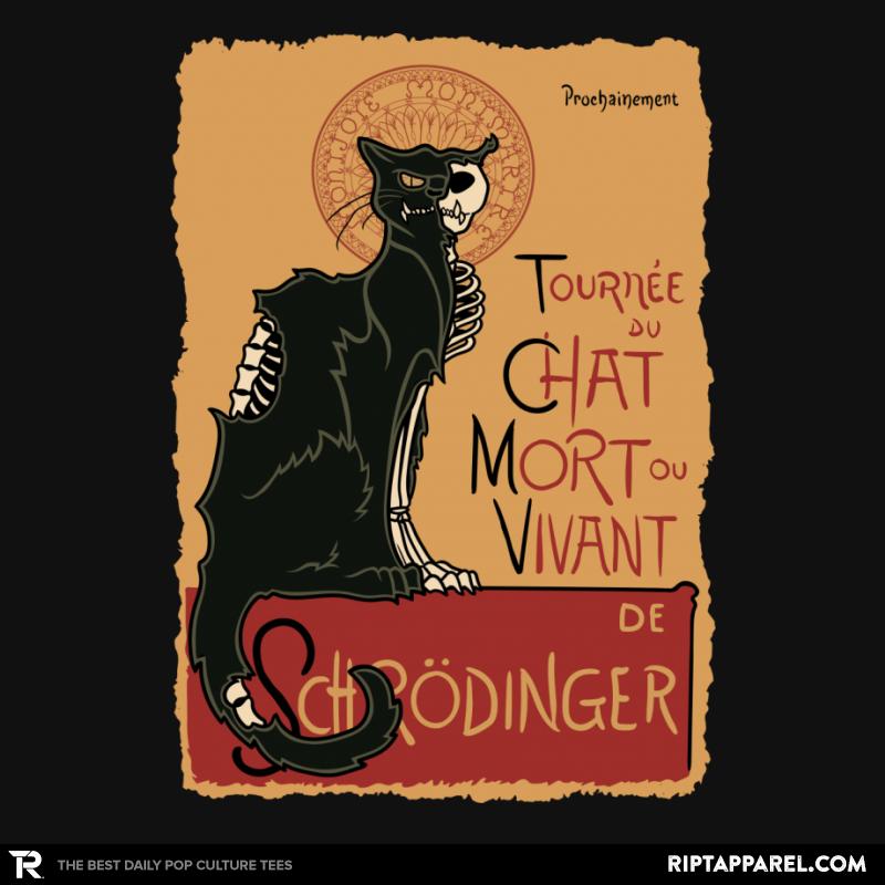 Le Chat Noir de Schrödinger