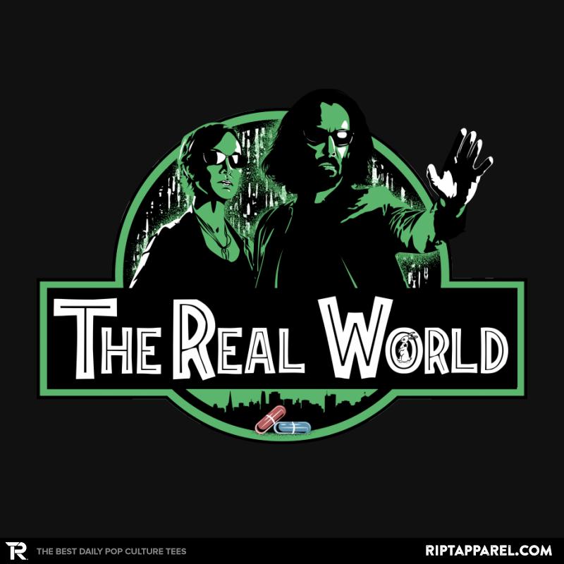 The Real World