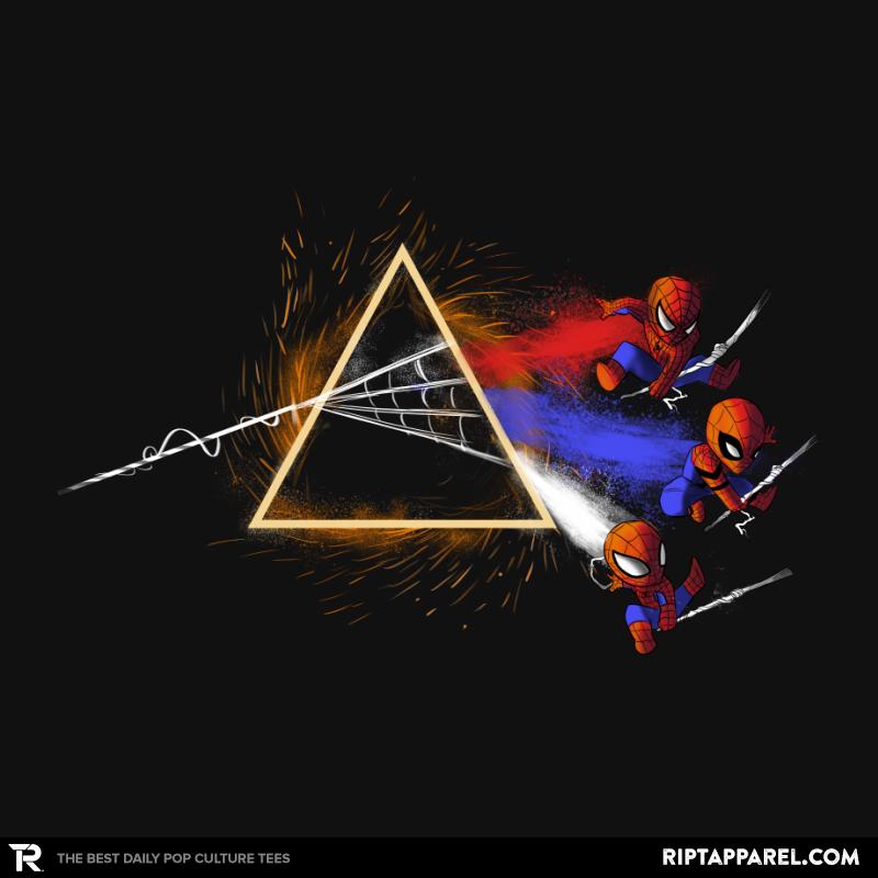 Dark Side of the Multiverse
