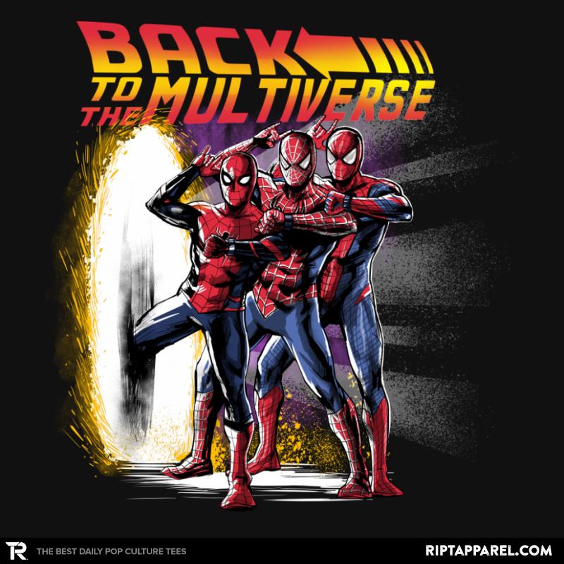Back to the Multiverse