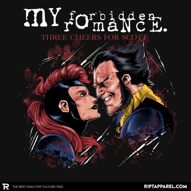 My Forbidden Romance