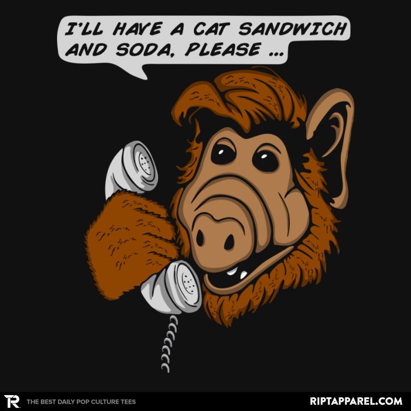 Cat Sandwich and Soda