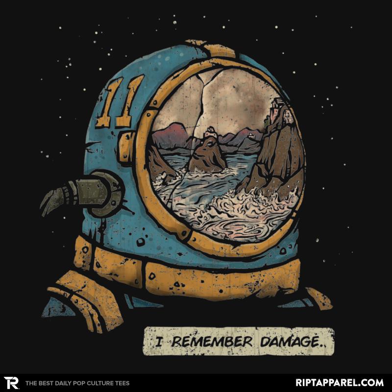 I Remember Damage
