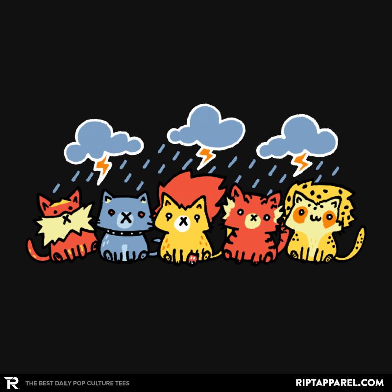 Thunder Thunder