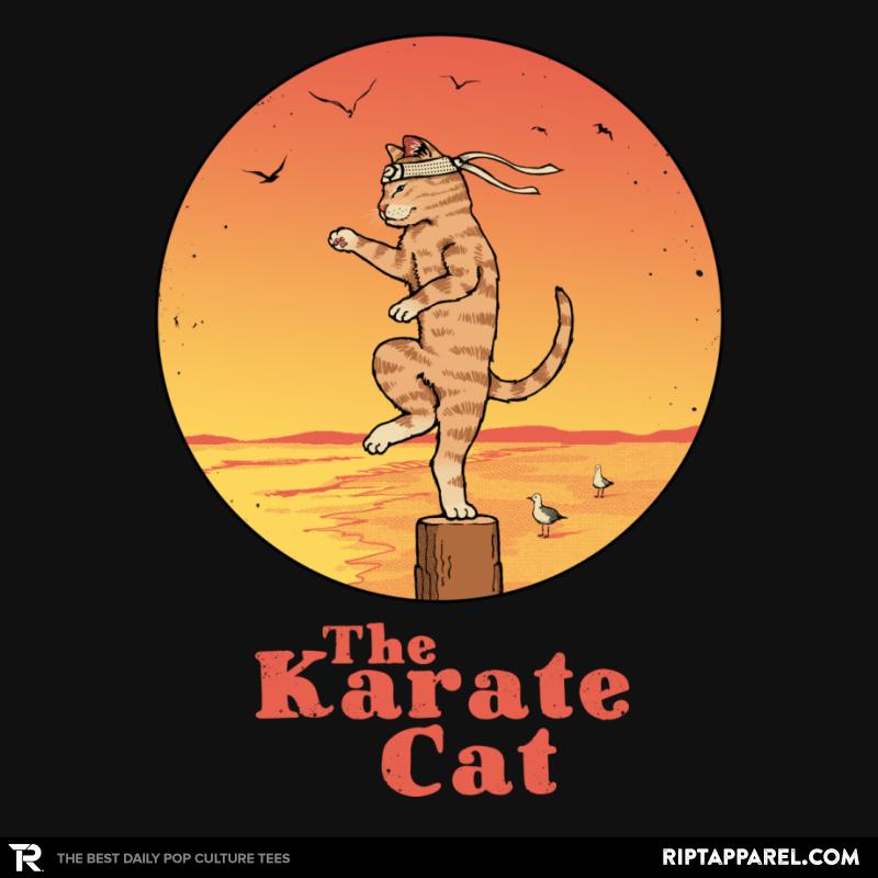The Karate Cat