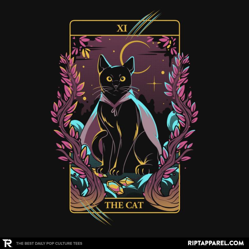 Tarot Cat