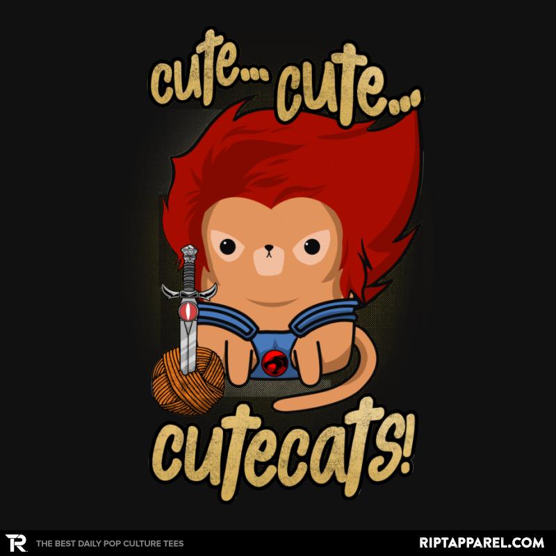 Cute... Cute... Cutecats!