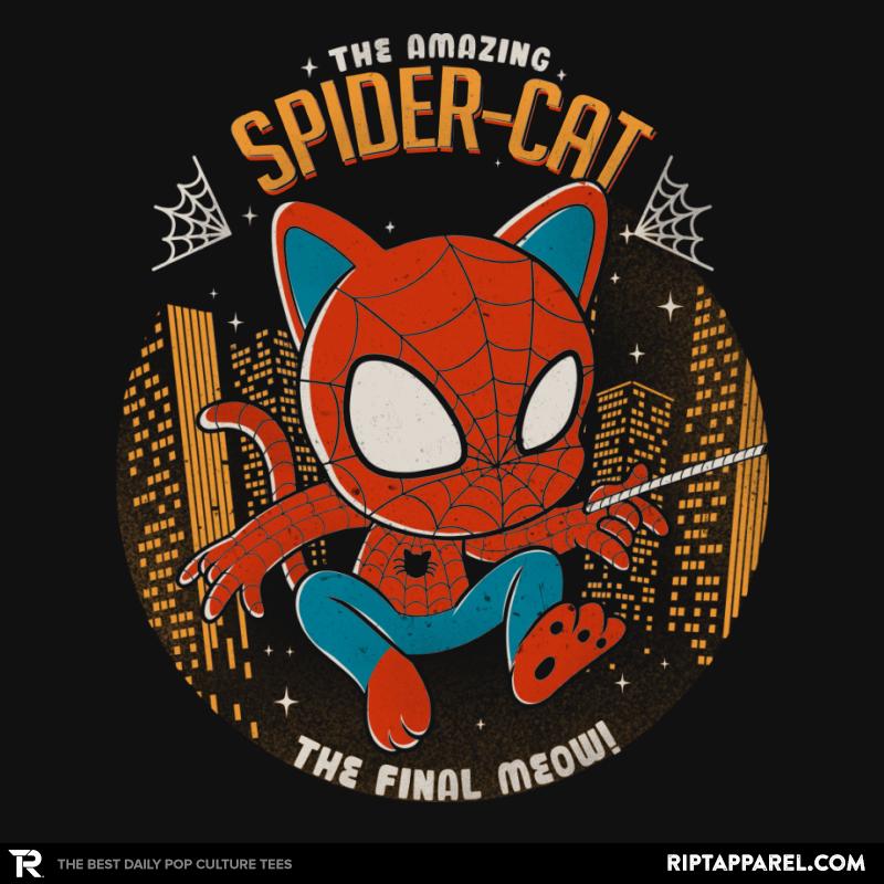 Spider Cat