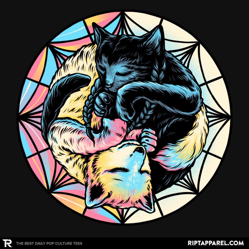 Black Cat and Colorful Wolf