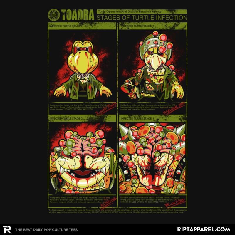Stages of Turtle Infection
