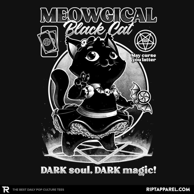 Magical Black Cat Girl