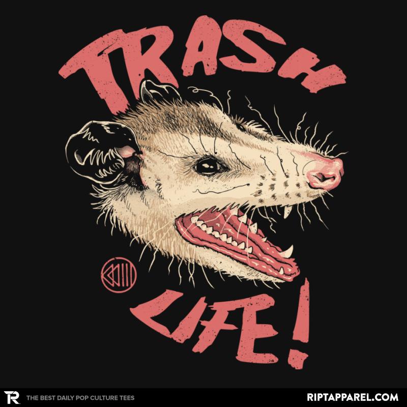 Possum Panic