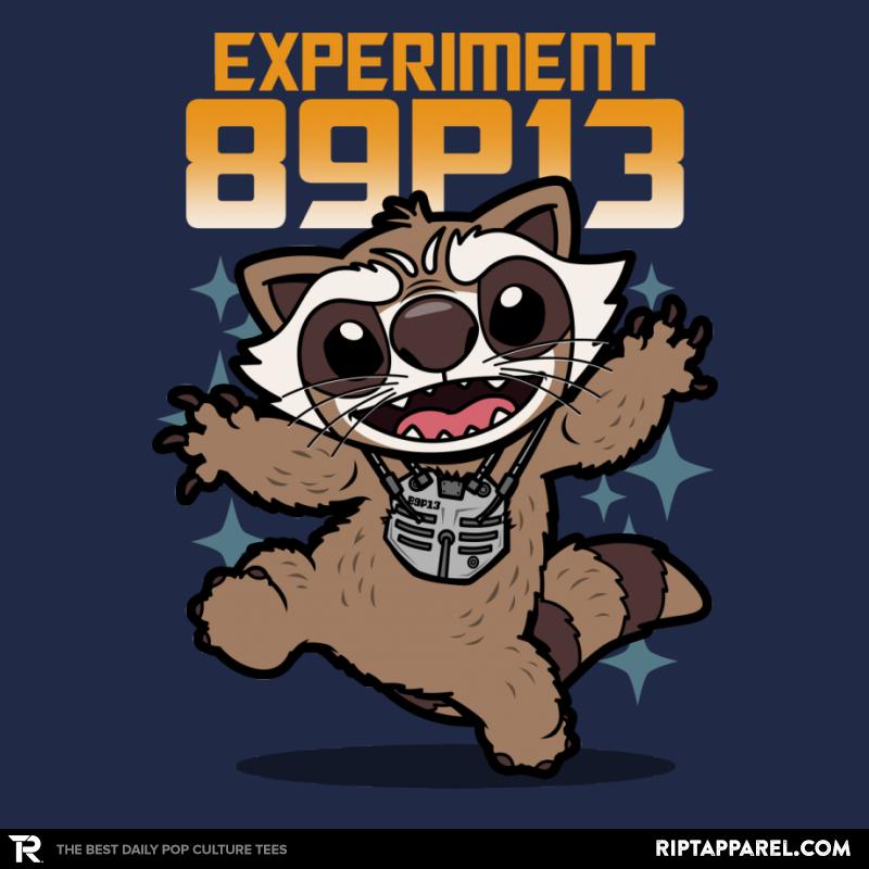 Experiment 89P13