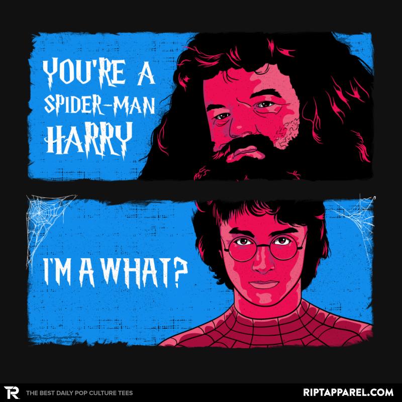 Across the Wizard-Verse