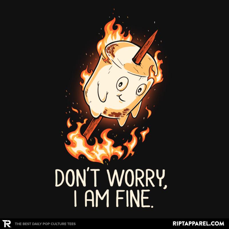 Don't Worry I Am Fine