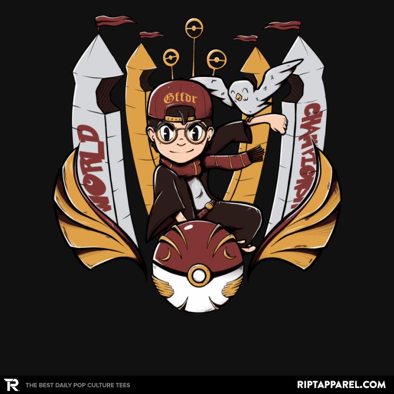 PokeQuidditch World Championship