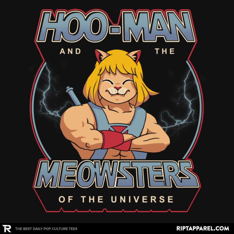 Hoo-Man and the Meowsters of the Universe