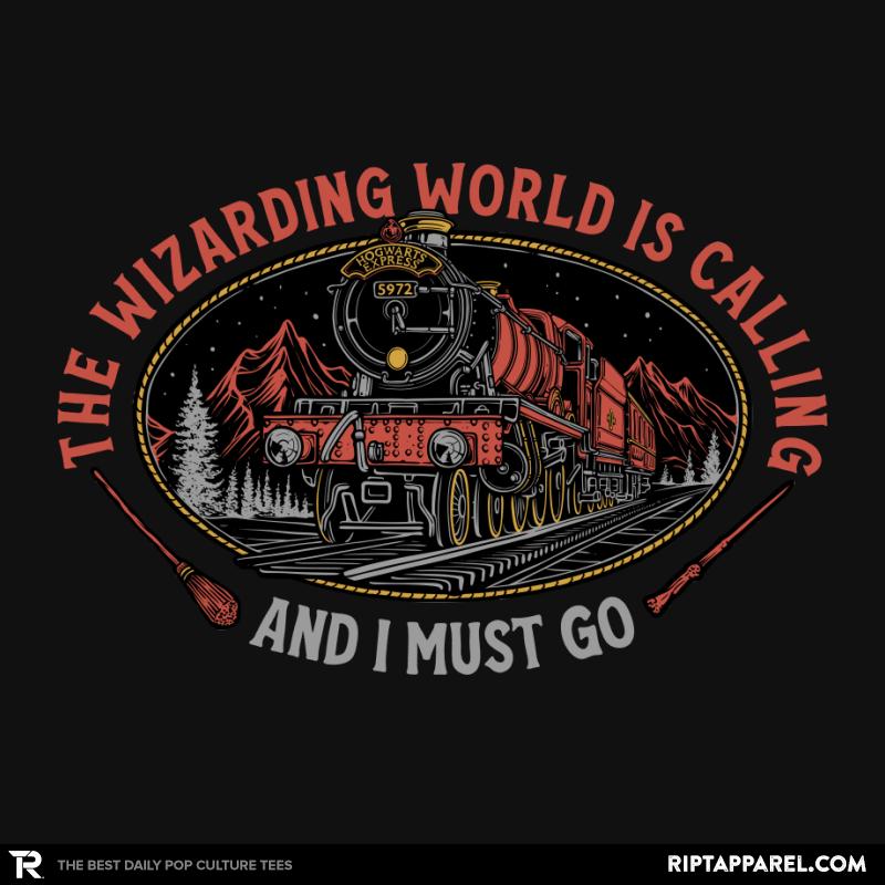 The Express Train