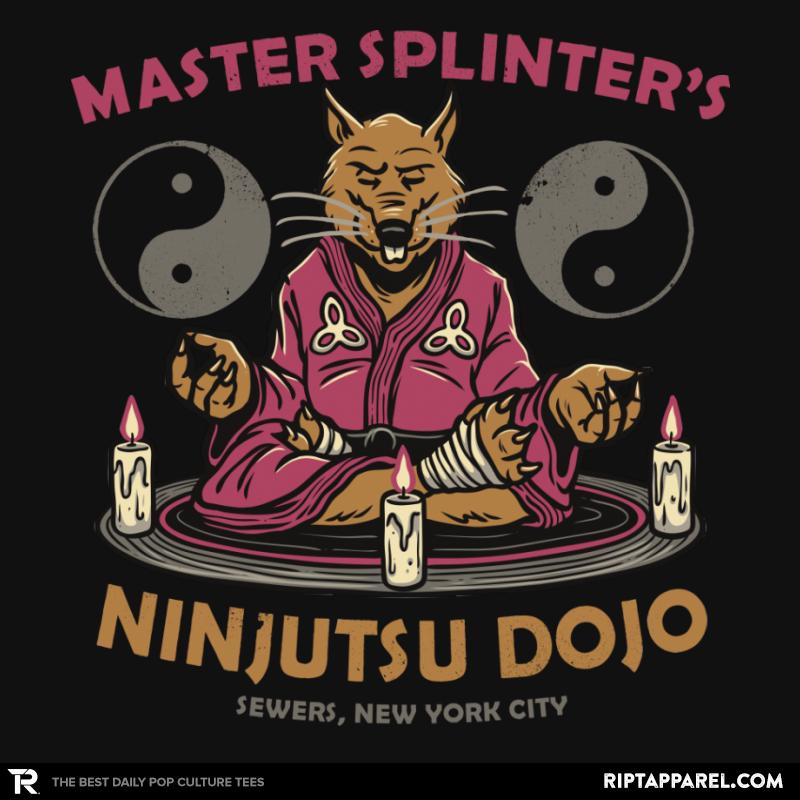Ninjutsu Dojo
